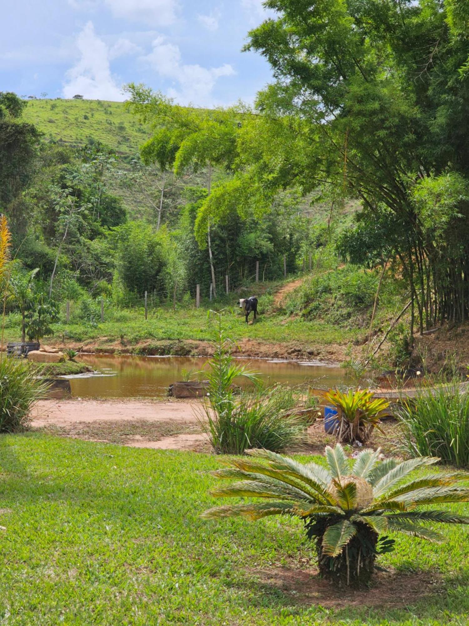 Sitio Reis Membeca Villa Paraiba do Sul Exterior photo