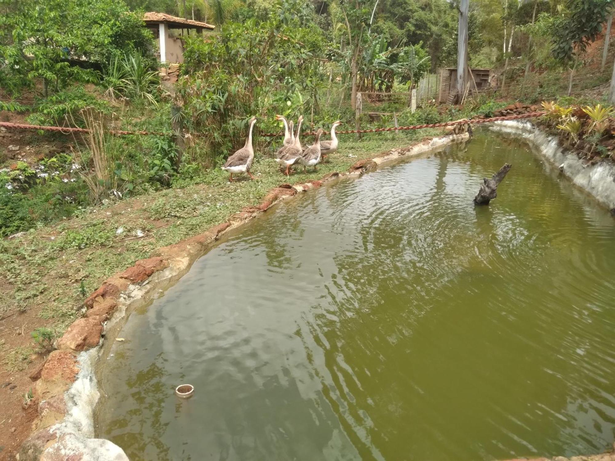 Sitio Reis Membeca Villa Paraiba do Sul Exterior photo